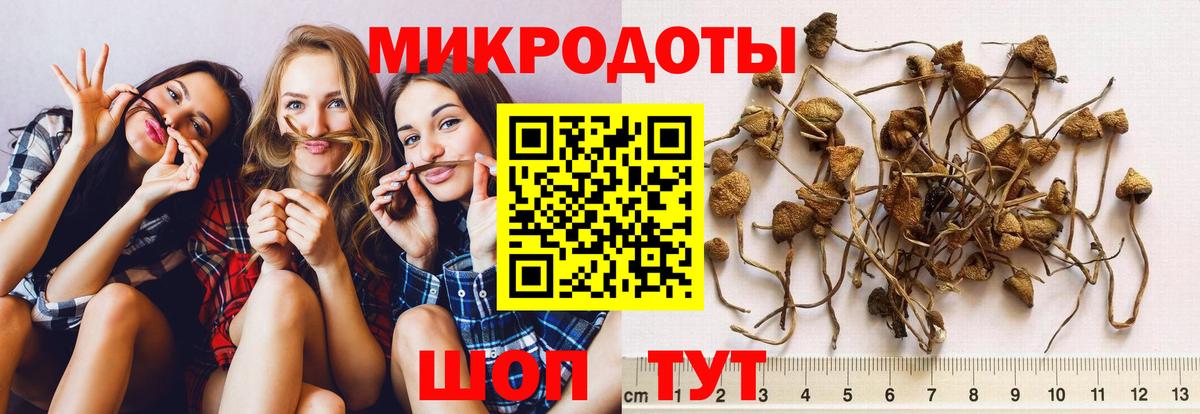 Новоалтайск  Псилоцибиновые грибы мицелий  Вход с VPN  Галлюциногенные грибы прущие грибы 